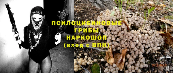 МДПВ Остров