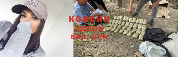 МДПВ Остров